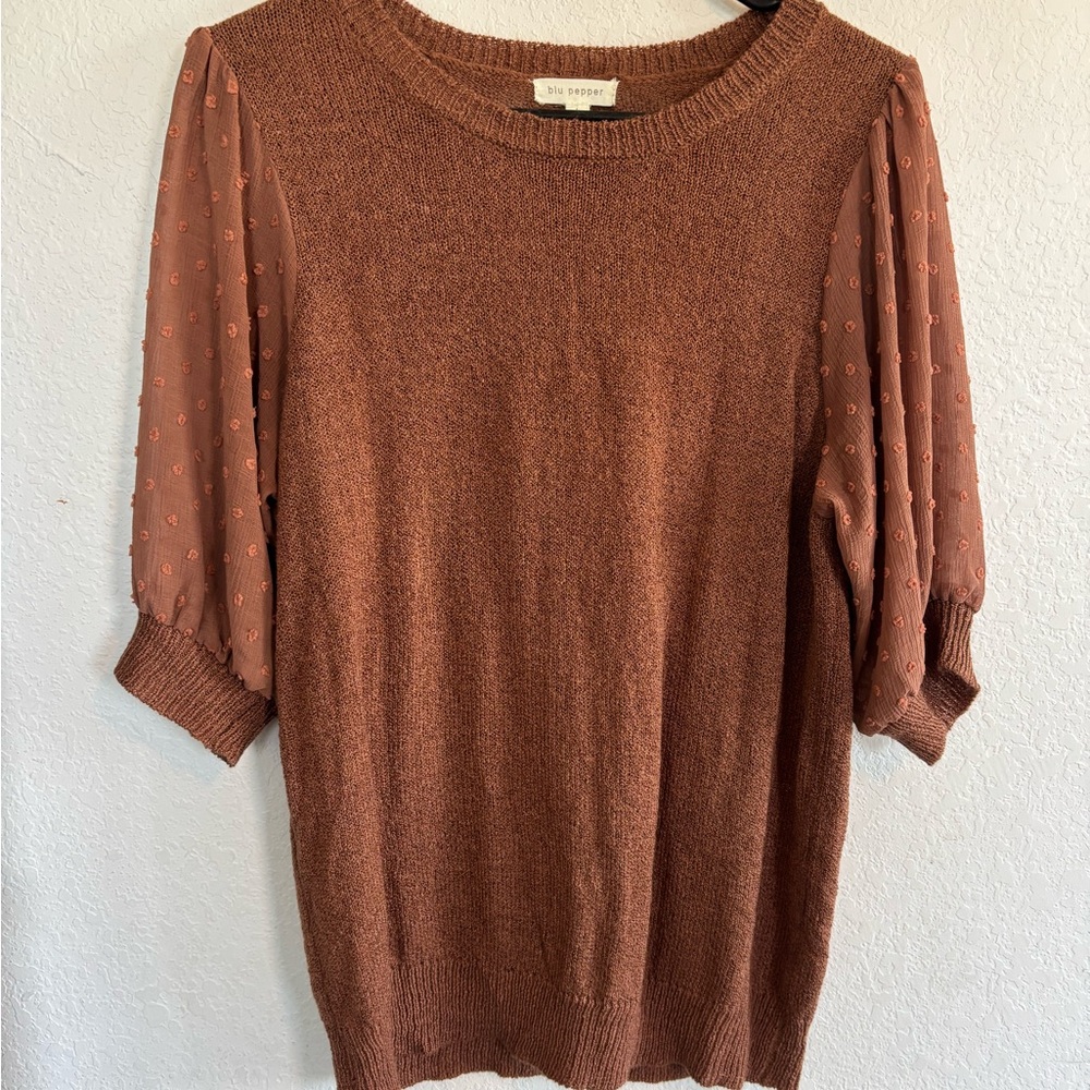 Blu Pepper Rust Brown Sweater with Sheer Sleeves